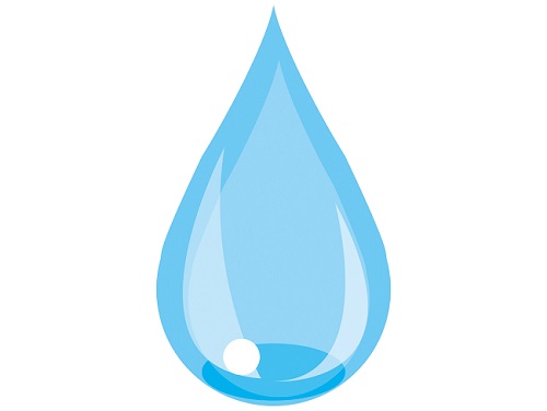 水分