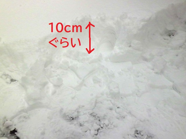 車の雪下ろしをしたいが道具がない 代用方法あります 困ったら読め